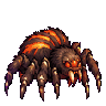 Aranha